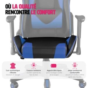 Chaise Gaming TecTake® Ergonomique Noir/Bleu avec Coussin Lombaire et Accoudoirs