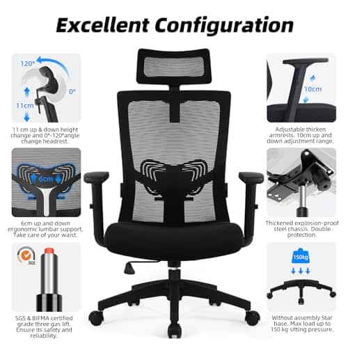 Chaise Bureau Ergonomique Daccormax avec Accoudoirs et Appui-Tête Ajustable