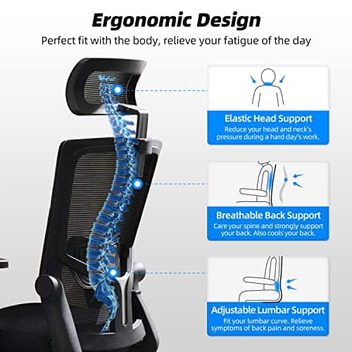 Chaise Bureau Ergonomique Daccormax avec Accoudoirs et Appui-Tête Ajustable