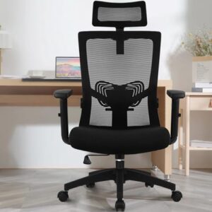 Chaise Bureau Ergonomique Daccormax avec Accoudoirs et Appui-Tête Ajustable