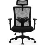 Chaise Bureau Ergonomique Daccormax avec Accoudoirs et Appui-Tête Ajustable
