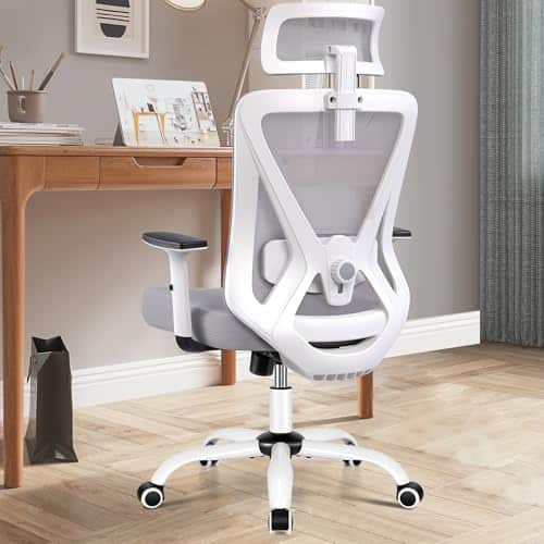 Chaise Bureau Ergonomique DoChair 9777 avec Support Lombaire et Accoudoirs Réglables