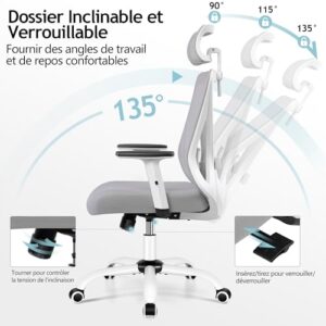 Chaise Bureau Ergonomique DoChair 9777 avec Support Lombaire et Accoudoirs Réglables