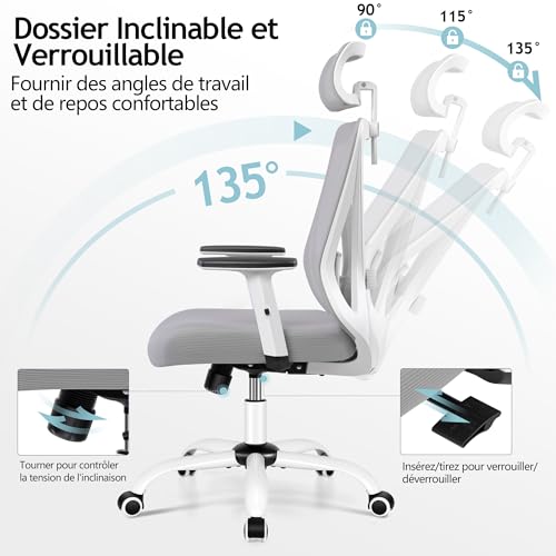 Chaise Bureau Ergonomique DoChair 9777 avec Support Lombaire et Accoudoirs Réglables