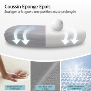 Chaise Bureau Ergonomique DoChair 9777 avec Support Lombaire et Accoudoirs Réglables