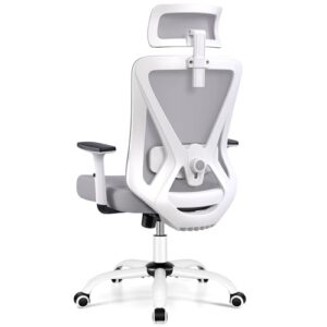 Chaise Bureau Ergonomique DoChair 9777 avec Support Lombaire et Accoudoirs Réglables