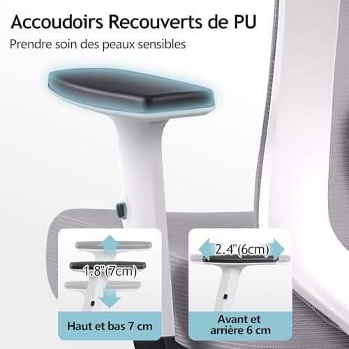 Chaise Bureau Ergonomique DoChair 9777 avec Support Lombaire et Accoudoirs Réglables
