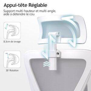 Chaise Bureau Ergonomique DoChair 9777 avec Support Lombaire et Accoudoirs Réglables