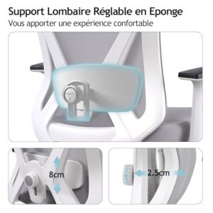 Chaise Bureau Ergonomique DoChair 9777 avec Support Lombaire et Accoudoirs Réglables