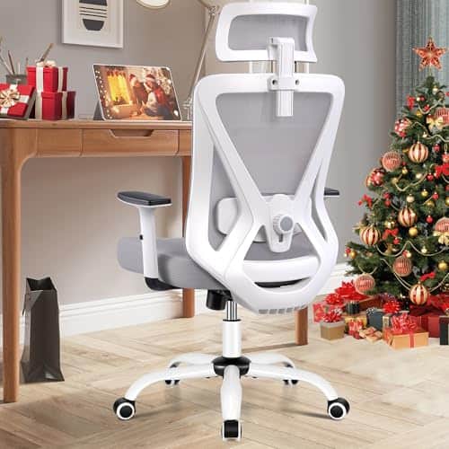 Chaise Bureau Ergonomique DoChair 9777 avec Support Lombaire et Accoudoirs Réglables