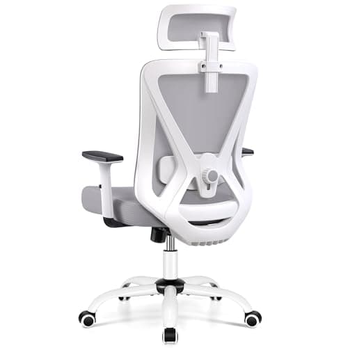 Chaise Bureau Ergonomique DoChair 9777 avec Support Lombaire et Accoudoirs Réglables