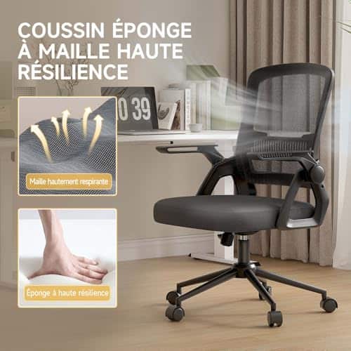Chaise Bureau Ergonomique Naspaluro avec Accoudoirs Pliants et Soutien Lombaire Noir