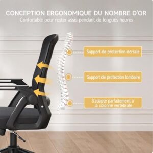 Chaise Bureau Ergonomique Naspaluro Chaise bureau ergonomique Naspaluro avec accoudoirs pliants et soutien lombaire noir.