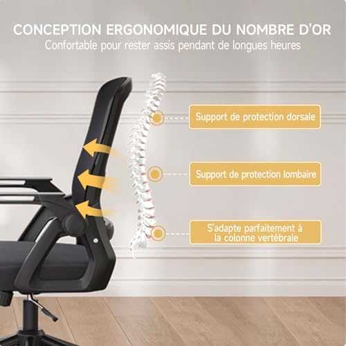 Chaise Bureau Ergonomique Naspaluro avec Accoudoirs Pliants et Soutien Lombaire Noir