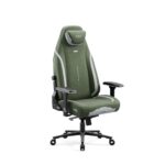 Chaise Gaming Diablo X.Eye Prime : Fauteuil PC Vert avec Support Lombaire 140 kg