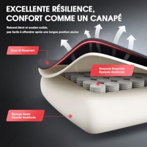 Chaise Gaming Douxlife Ergonomique avec Massage et Repose-Pieds, 158 kg, Gris