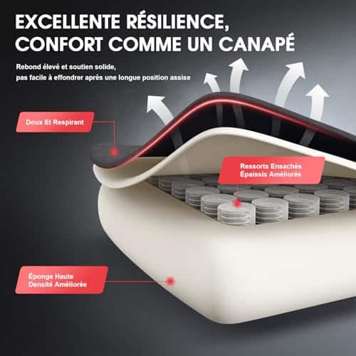 Chaise Gaming Douxlife Ergonomique avec Massage et Repose-Pieds, 158 kg, Gris