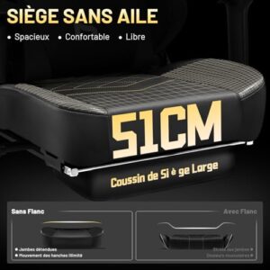 Chaise Gaming Ergonomique HLFURNIEU avec Repose-Pied et Support Lombaire Noir