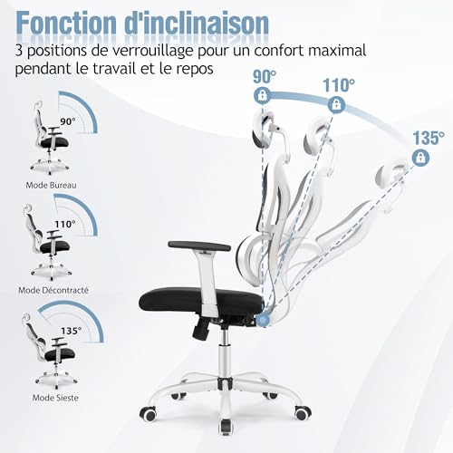 Chaise de Bureau Ergonomique DoChair avec Appui-tête et Accoudoirs Réglables