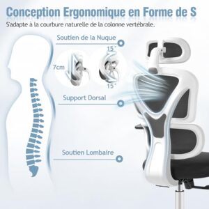 Chaise de Bureau Ergonomique DoChair avec Appui-tête et Accoudoirs Réglables