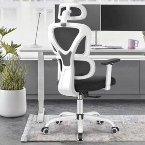 Chaise de Bureau Ergonomique DoChair avec Appui-tête et Accoudoirs Réglables