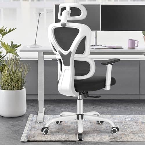 Chaise de Bureau Ergonomique DoChair avec Appui-tête et Accoudoirs Réglables
