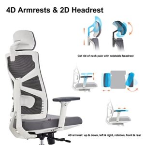 Chaise de Bureau Ergonomique HOLLUDLE avec Accoudoirs 4D et Dossier Réglable