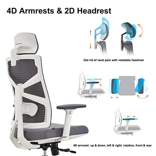 Chaise de Bureau Ergonomique HOLLUDLE avec Accoudoirs 4D et Dossier Réglable