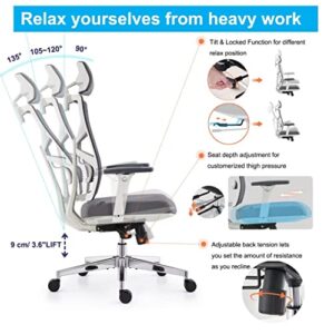 Chaise de Bureau Ergonomique HOLLUDLE avec Accoudoirs 4D et Dossier Réglable