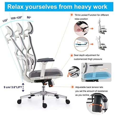 Chaise de Bureau Ergonomique HOLLUDLE avec Accoudoirs 4D et Dossier Réglable