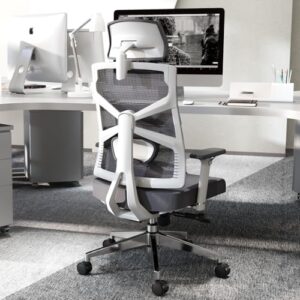 Chaise de Bureau Ergonomique HOLLUDLE avec Accoudoirs 4D et Dossier Réglable
