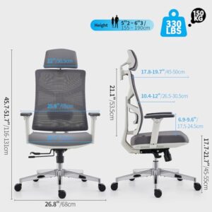 Chaise de Bureau Ergonomique HOLLUDLE avec Accoudoirs 4D et Dossier Réglable