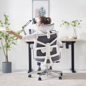 Chaise de Bureau Ergonomique HOLLUDLE avec Accoudoirs 4D et Dossier Réglable