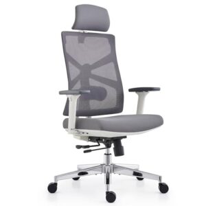 Chaise de Bureau Ergonomique HOLLUDLE avec Accoudoirs 4D et Dossier Réglable