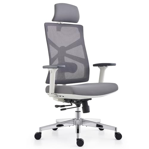 Chaise de Bureau Ergonomique HOLLUDLE avec Accoudoirs 4D et Dossier Réglable