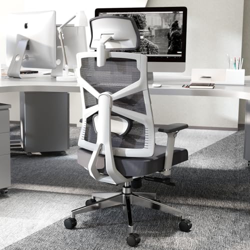 Chaise de Bureau Ergonomique HOLLUDLE avec Accoudoirs 4D et Dossier Réglable