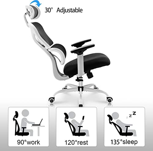 Chaise de Bureau Ergonomique KERDOM avec Support Lombaire et Appuie-tête réglable