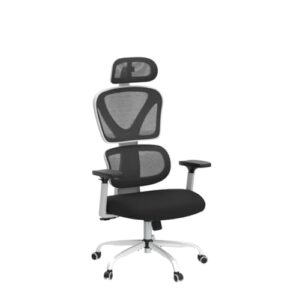 Chaise de Bureau Ergonomique KERDOM avec Support Lombaire et Appuie-tête réglable