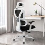 Chaise de Bureau Ergonomique KERDOM avec Support Lombaire et Appuie-tête réglable