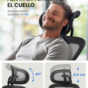 Chaise de Bureau Ergonomique NOBLEWELL avec Support Lombaire et Accoudoirs Réglables