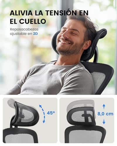 Chaise de Bureau Ergonomique NOBLEWELL avec Support Lombaire et Accoudoirs Réglables