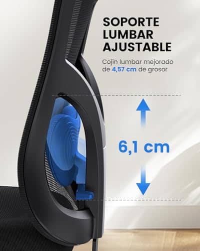 Chaise de Bureau Ergonomique NOBLEWELL avec Support Lombaire et Accoudoirs Réglables