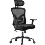 Chaise de Bureau Ergonomique NOBLEWELL avec Support Lombaire et Accoudoirs Réglables