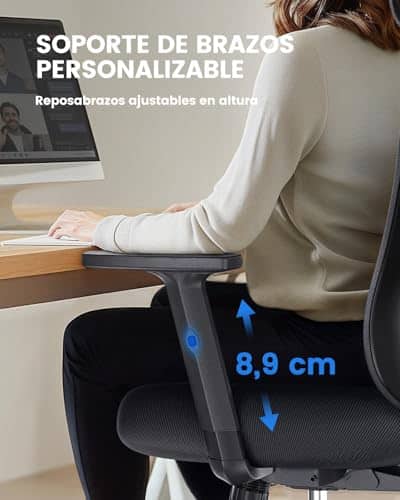 Chaise de Bureau Ergonomique NOBLEWELL avec Support Lombaire et Accoudoirs Réglables