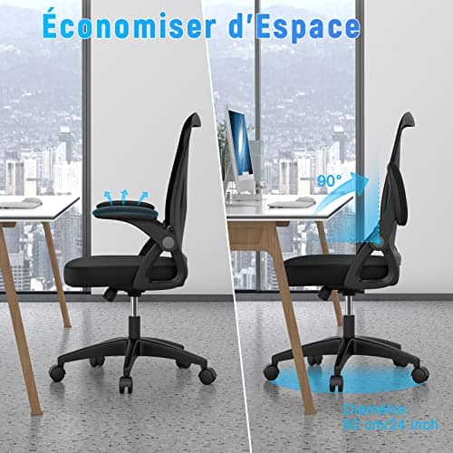 Chaise de Bureau Ergonomique Naspaluro LK111 avec Accoudoirs Réglables et Dossier Inclinable