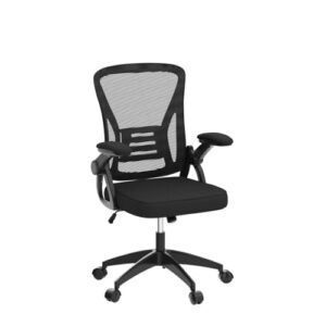 Chaise de Bureau Ergonomique Naspaluro LK111 avec Accoudoirs Réglables et Dossier Inclinable