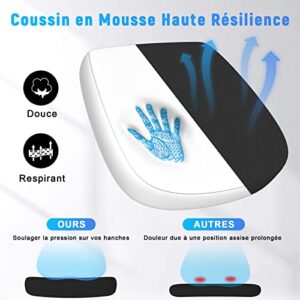 Chaise de Bureau Ergonomique Naspaluro LK111 avec Accoudoirs Réglables et Dossier Inclinable