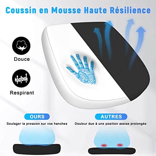 Chaise de Bureau Ergonomique Naspaluro LK111 avec Accoudoirs Réglables et Dossier Inclinable