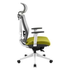 Chaise de Bureau Ergonomique REKT Office-R avec Support Lombaire et Appuie-Tête