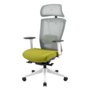 Chaise de Bureau Ergonomique REKT Office-R avec Support Lombaire et Appuie-Tête